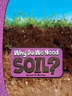 Why Do We Need Soil?