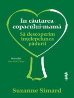 In cautarea copacului-mama: Sa descoperim intelepciunea padurii