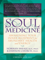 Soul Medicine: Awakening Your Inner Blueprint for Abundant Health and Energy