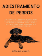 Adiestramiento de Perros: Un Completo y Moderno Manual Para el Cuidado Cariñoso y Comprensivo de su Mascota: ¡Aprenda Todo lo Que Necesita Saber Para Adiestrar a su Perro Correctamente!