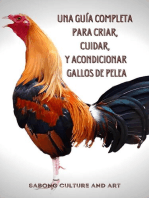 Una Guía Completa para Criar, Cuidar, y Acondicionar Gallos de Pelea