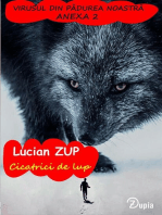 Cicatrici de lup: Codreia, #2