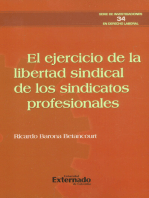 El ejercicio de la libertad sindical de los sindicatos profesionales