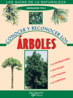 Conocer y reconocer los árboles