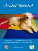 Cachorros: Una sencilla guía para resolver los problemas más comunes de los cachorros