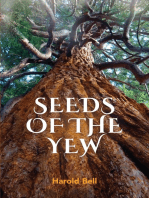 Seeds of the Yew