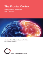 The Frontal Cortex: Organization, Networks, and Function