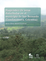 Diagnóstico de áreas disturbadas en el municipio de San Bernardo (Cundinamarca, Colombia)