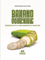 Banano sostenible.: Agronegocios en la zona bananera del Magdalena