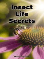 Insect Life Secrets