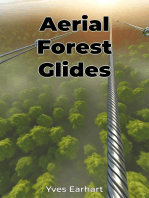 Aerial Forest Glides