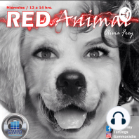 RED ANIMAL CON OLIVIA FREY/ DÌA INTERNACIONAL DE LA ESTERILIZACIÒN ANIMAL