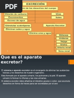 Sistema Excre Tor