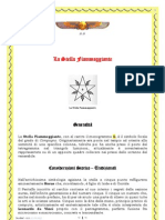 002 Scribd Stella Fiammeggiante