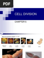 Cell DIVISION