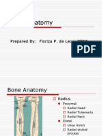 Elbow Anatomy: Prepared By: Floriza P. de Leon, PTRP