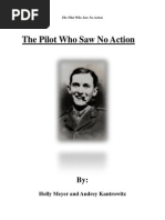 The Pilot Who Saw No Action