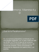 Paratohormona, Vitamina A y D Terminada