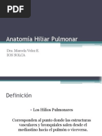 Anatomía Hiliar Pulmonar