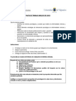 Pauta de Trabajo Análisis de Caso