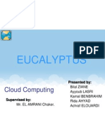 Eucalyptus Presentation (Cloud Computing)