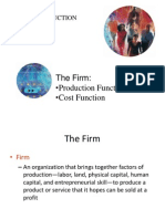 Production and Cost Function