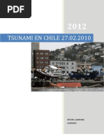 Artículo Documental Tsunami en Chile 2010