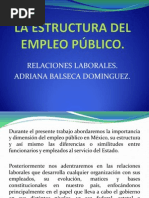 La Estructura Del Empleo Público