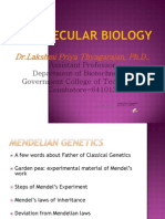 Molecular Biology