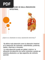 Síndrome de Mala Absorción Intestinal (Bioquimica)