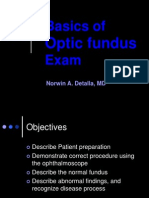 Basics of Fundus