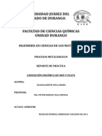 Reporte de Práctica Lixiviación Dinámica de Oro y Plata