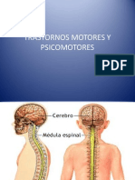 Trastornos Motores y Psicomotores