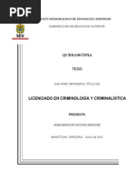 Manual de Estructura de La Tesis Upav Indice Zero