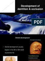 Development of Dentition and Occlusion - Dr. Nabil Al-Zubair