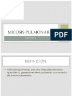 Micosis Pulmonares