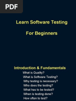 Learn Software Testing For Beginners