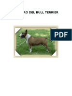 El Libro Del Bull Terrier2