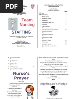 Team Nursing Staffing