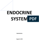 Endocrine System