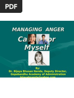 AngerManagement BBN