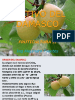 Cultivo Damasco Ujm