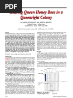 Rearing Queen Honeybees