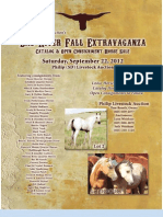 Bad River Extravaganza Horse Sale