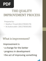 The Quality Improvement Process