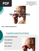 Fuerza Masticatoria FA