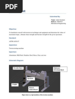 Torsion Test