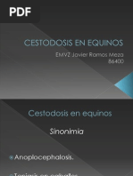 Cestodosis en Equinos