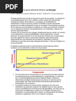 Sexto Hábito de La Gente Altamente Efectiva: La Sinergia