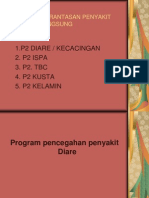 Program Pencegahan Penyakit Diare